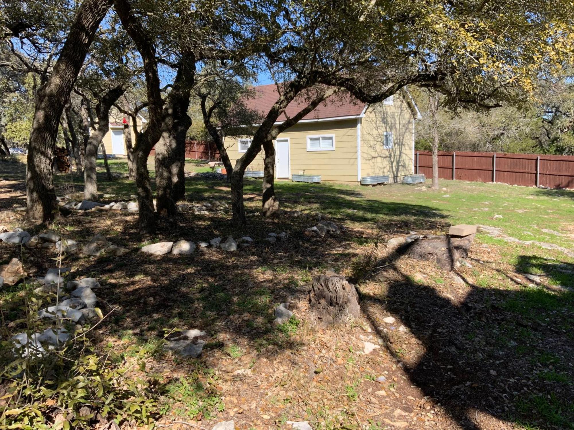 In The Woods * San Marcos